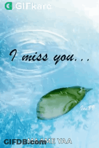 Leaf In Water Saying I Miss You GIF