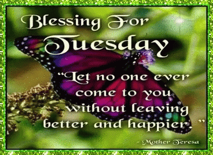 Leave Better And Happier Thankful Tuesday GIF