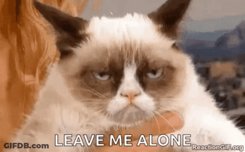 Leave Me Alone Grumpy Cat GIF