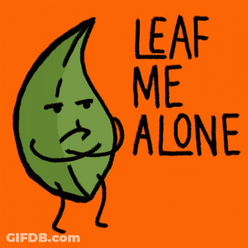 Leave Me Alone Leaf Meme GIF
