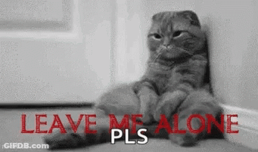 Leave Me Alone Lonely Kitty GIF