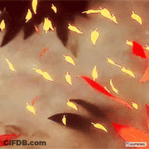 Leaves Falling From Sky GIF