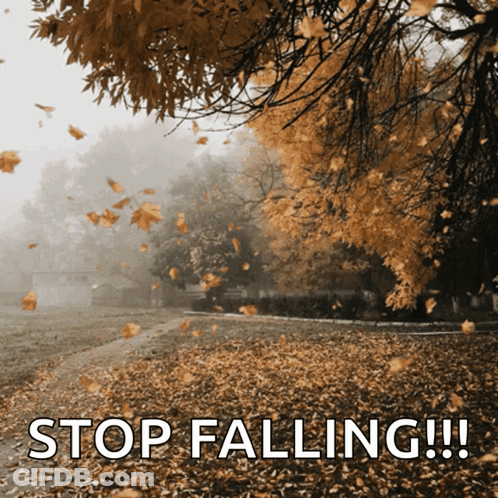 Leaves Falling Saying Stop Falling GIF