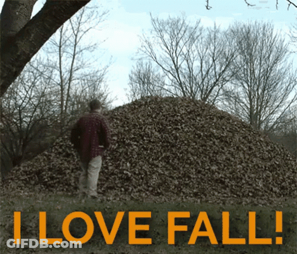 Leaves Jump I Love Fall GIF