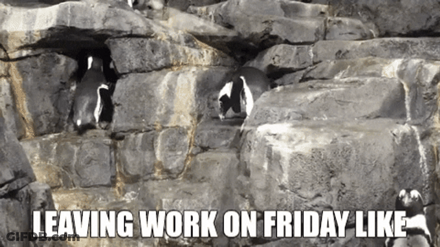 Leaving Work On Friday Penguin Running GIF