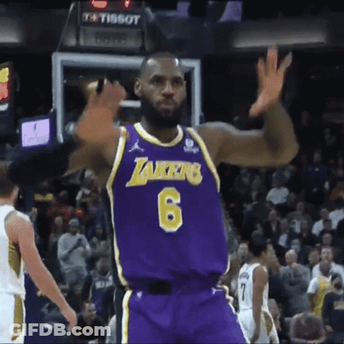 Lebron GIF
