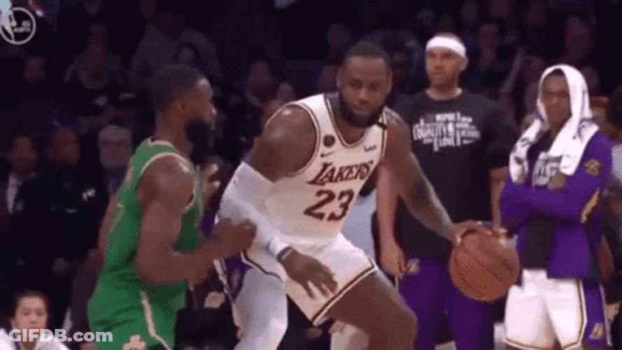 Lebron Flop Dribble GIF