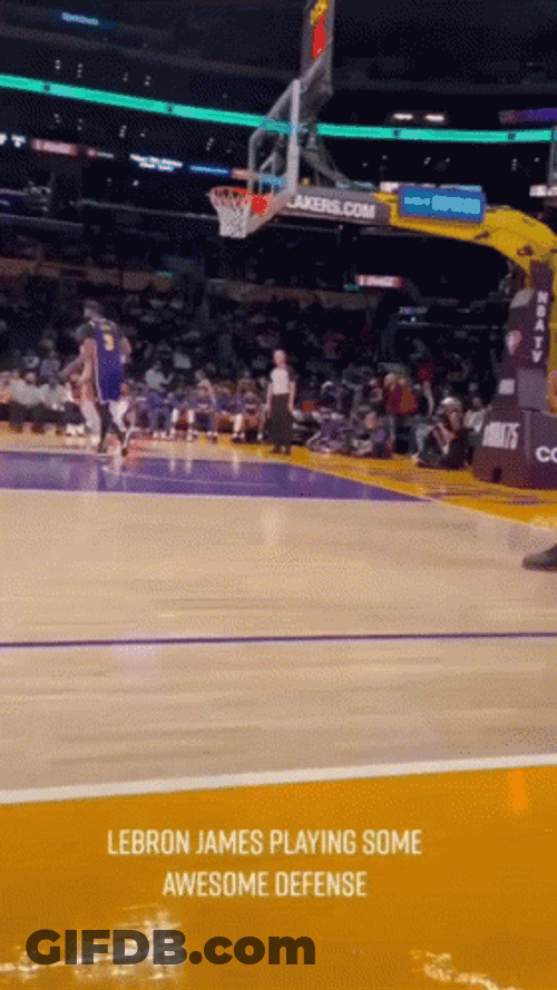 Lebron Flop Just Standing GIF