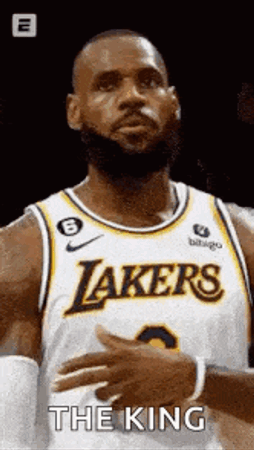 Lebron GIF