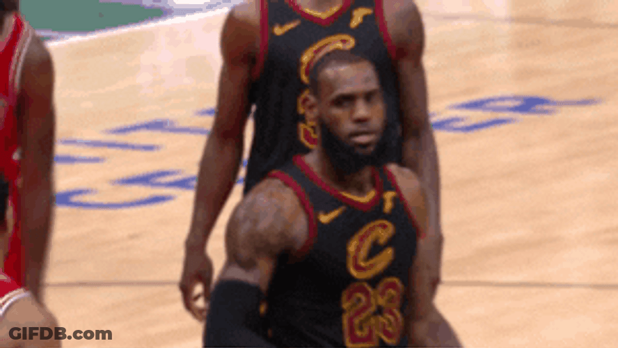 Lebron James Funny Salute GIF