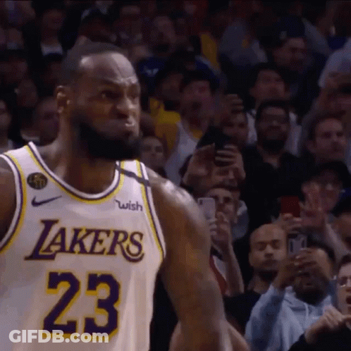 LeBron James In Lakers Jersey Before Crowd GIF