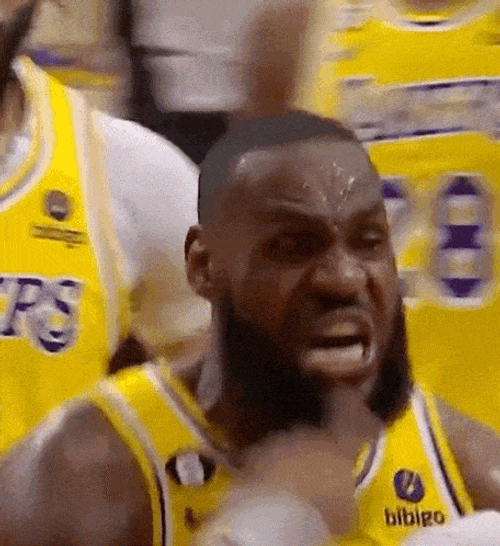 Lebron Lebronjames GIF
