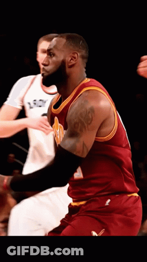 Lebron GIF