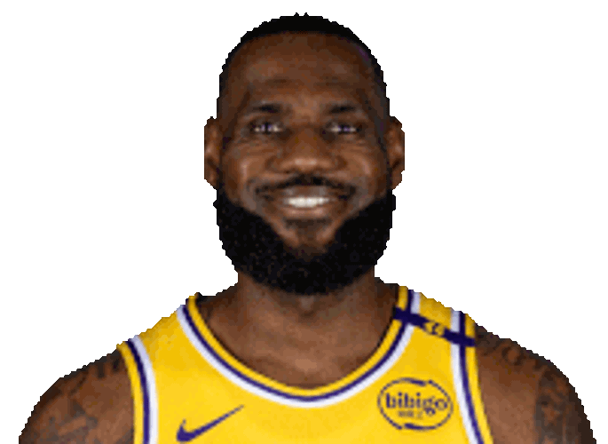 Lebron Sticker GIF