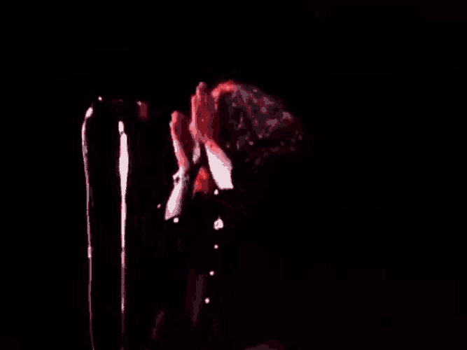 Led Zeppelin Robert Plant GIF