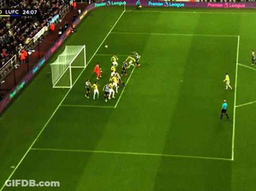 Leeds United Redfox9 GIF