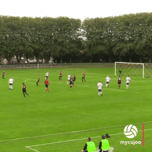 Lefty Guy Kicked The Ball For Goal GIF