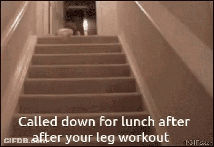 Leg Day Baby Fell Down Stairs GIF