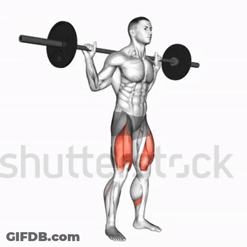 Leg Day Barbell Full Squat GIF