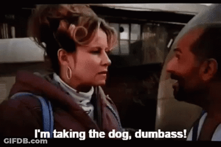 Legally Blonde GIF