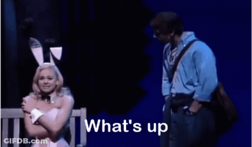 Legally Blonde Musical Whats Up Doc GIF