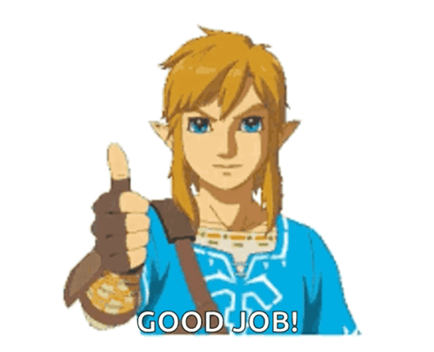 Legend Of Zelda Tears Of The Kingdom Approves GIF