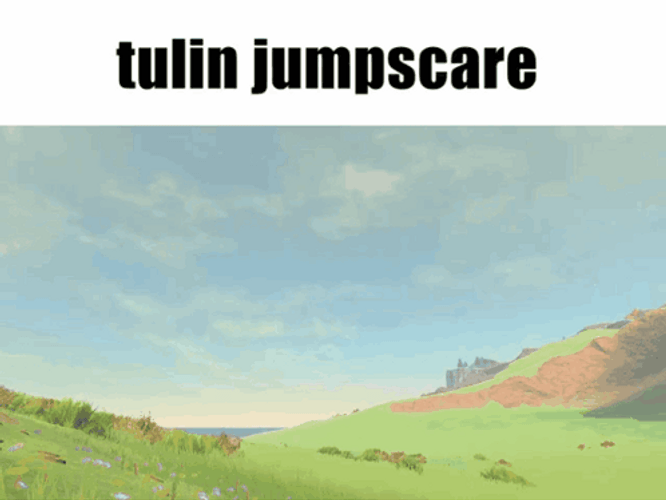 Legend Of Zelda Tears Of The Kingdom Cute Tulin GIF