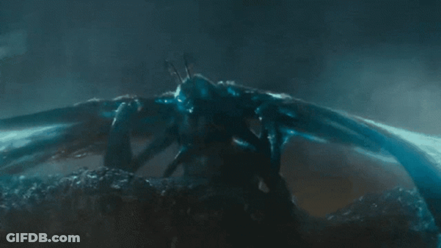 Legendary Monster Mothra GIF