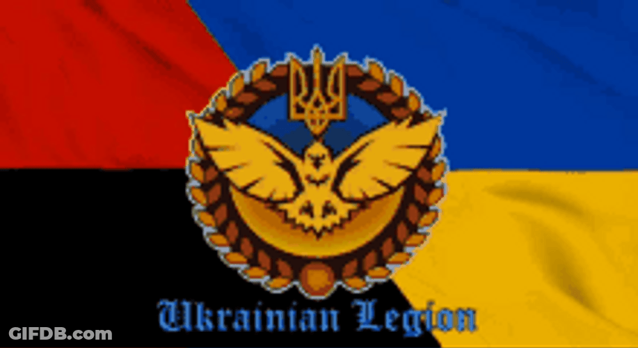 Legion Of Ukraine GIF