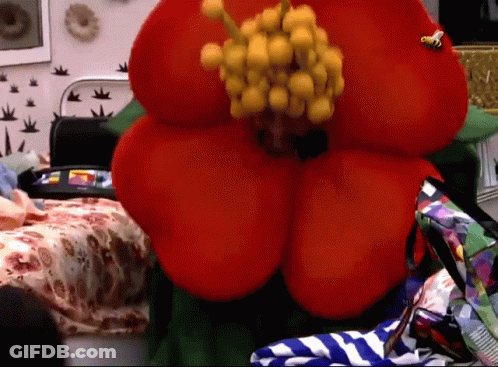 Lego Figure With Green Scarf GIF