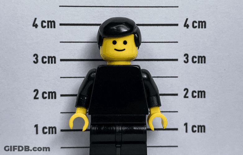 Lego Jail Mug Shot GIF