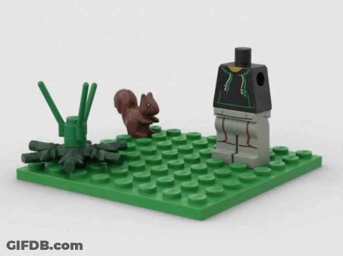 Lego Man And Squirrel Stop Motion GIF