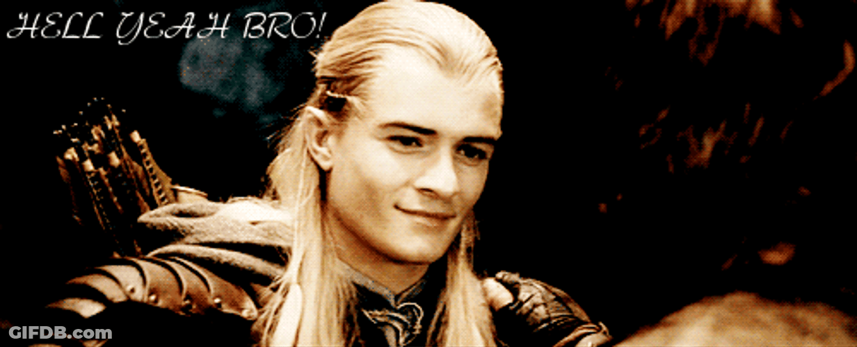 Legolas To Aragorn Hell Yeah Brother GIF