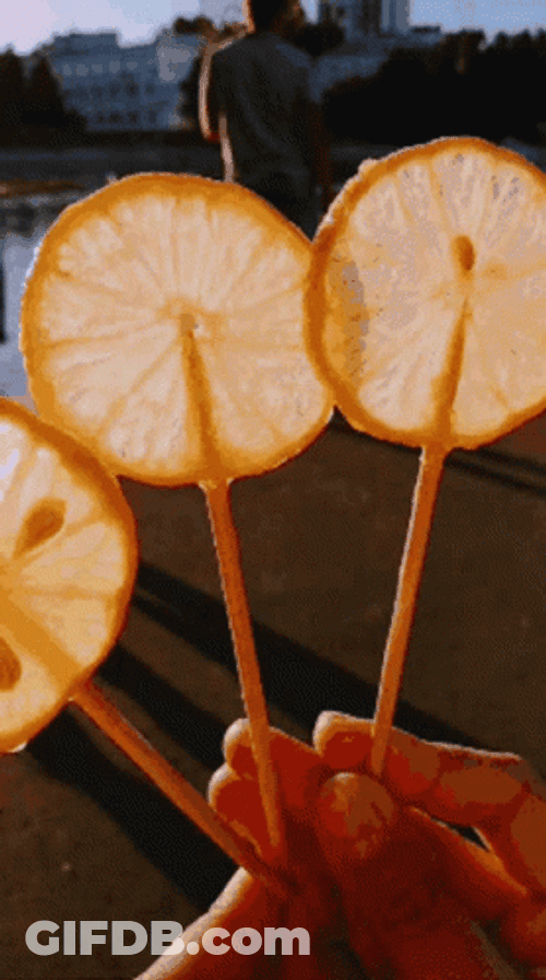 Lemon On Sticks Have A Good Day GIF