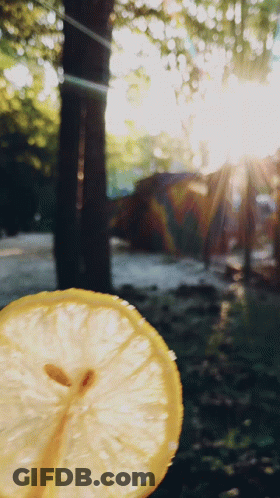 Lemon Slice Held In Front Of Sun GIF