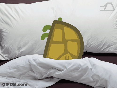 Lemon Slice Pillow On Bed GIF