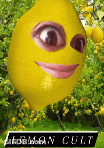 Lemon With Face Saying Lemon Cult GIF