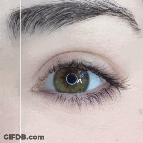 Lemur Close Up Big Eyes The Suspense GIF