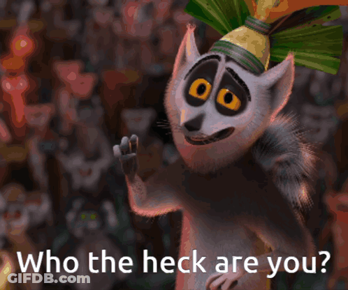 Lemur Saying Who The Heck Are You GIF
