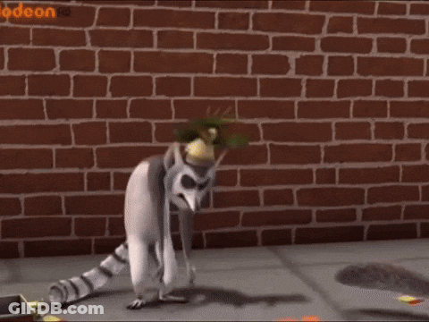 Lemur Standing In Front Of Brick Wall Saying Odeon GIF