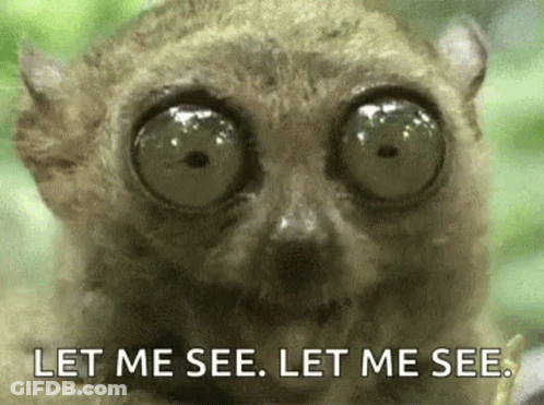 Lemur With Big Eyes Saying Let Me See GIF