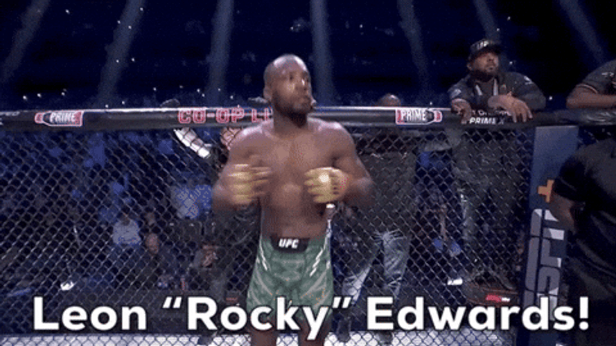 Leon Rocky Edwards Mixed Martial Arts GIF