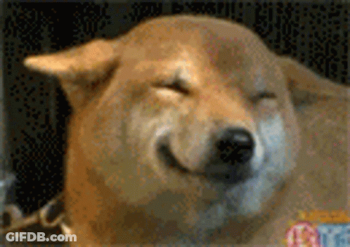 Leonardo DiCaprio Laughing With Weee GIF