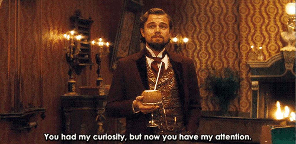 Leonardo DiCaprio You Have My Attention GIF