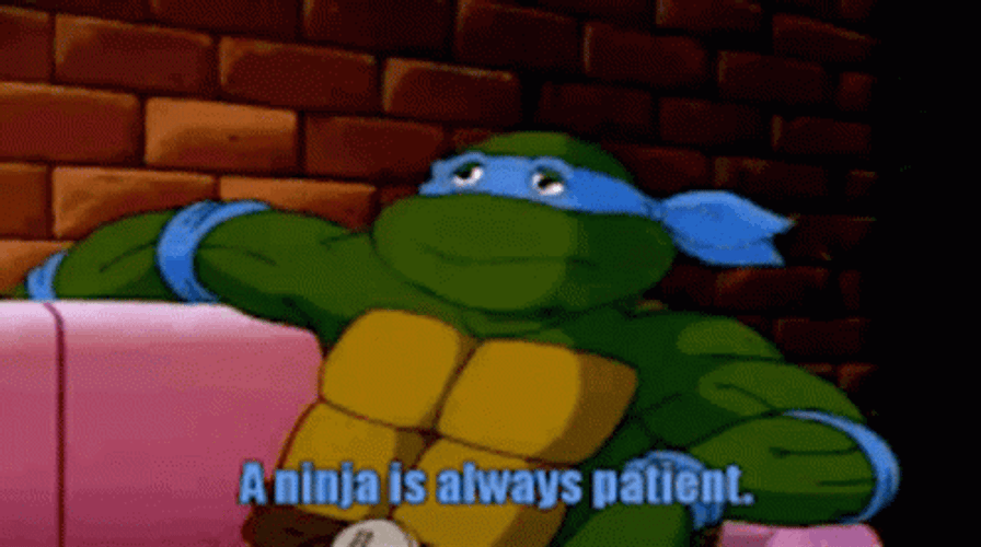 Leonardo Ninja Turtle Patiently Waiting GIF