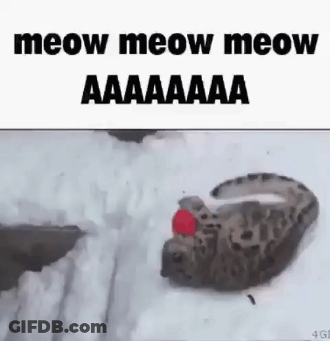 Leopard Laying In Snow With Red Ball On Back GIF