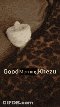 Leopard Print Blanket Saying Good Morning Khezu GIF
