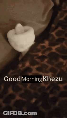 Leopard Print Blanket Saying Good Morning Khezu GIF
