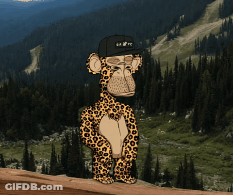 Leopard Wearing Hat Saying Babyc GIF