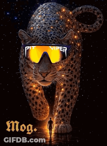 Leopard Wearing Viper Sunglasses GIF